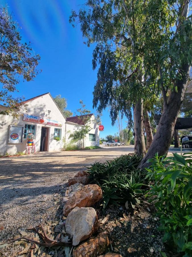 Camping La Naranja Hotel Гандия Екстериор снимка