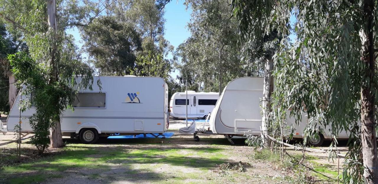 Camping La Naranja Hotel Гандия Екстериор снимка