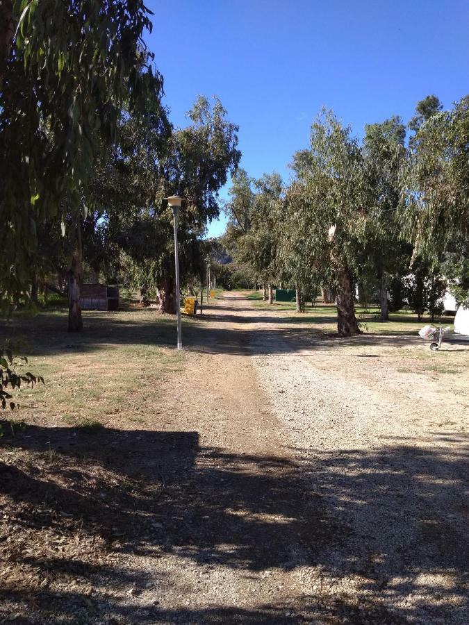 Camping La Naranja Hotel Гандия Екстериор снимка