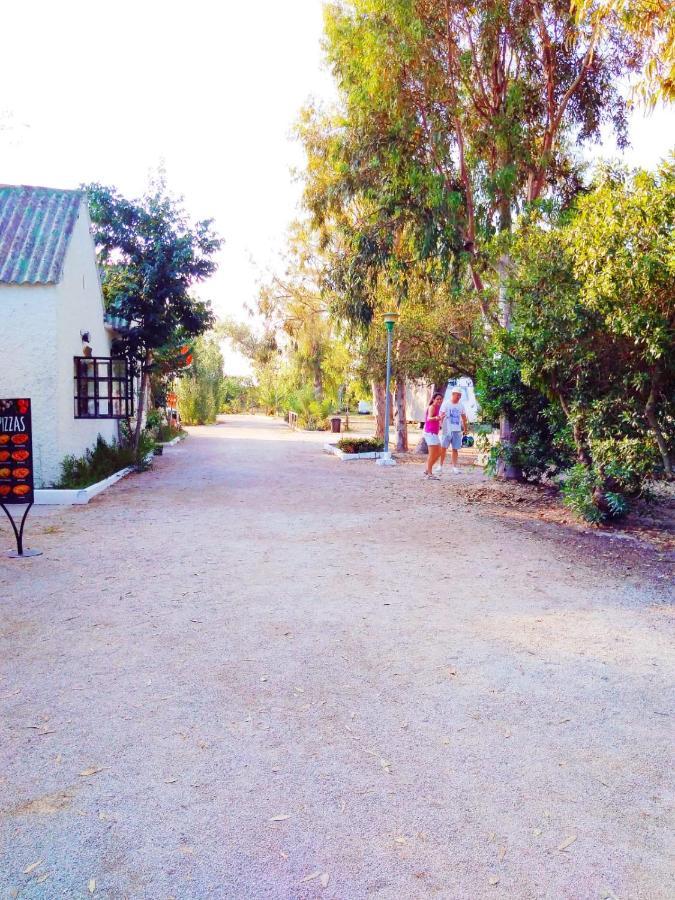 Camping La Naranja Hotel Гандия Екстериор снимка