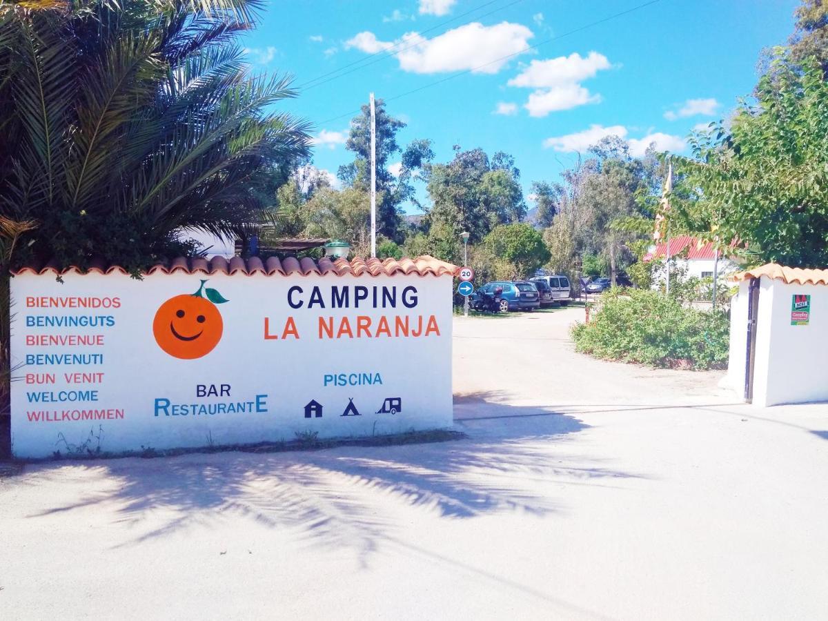 Camping La Naranja Hotel Гандия Екстериор снимка