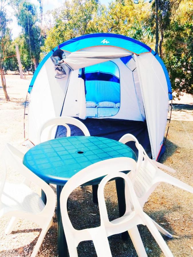 Camping La Naranja Hotel Гандия Екстериор снимка